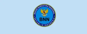 BNN